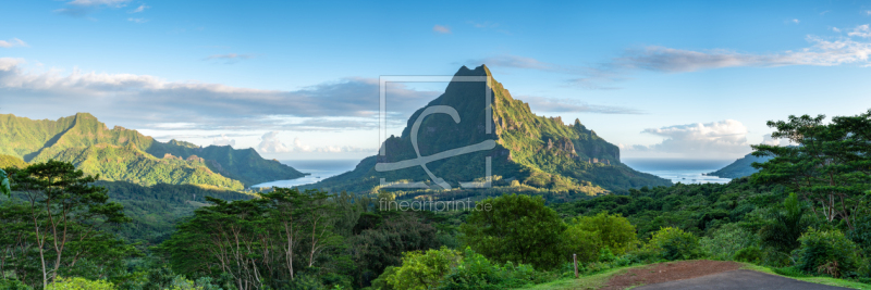 frei wählbarer Bildausschnitt für Ihr Bild auf Fensterfolie