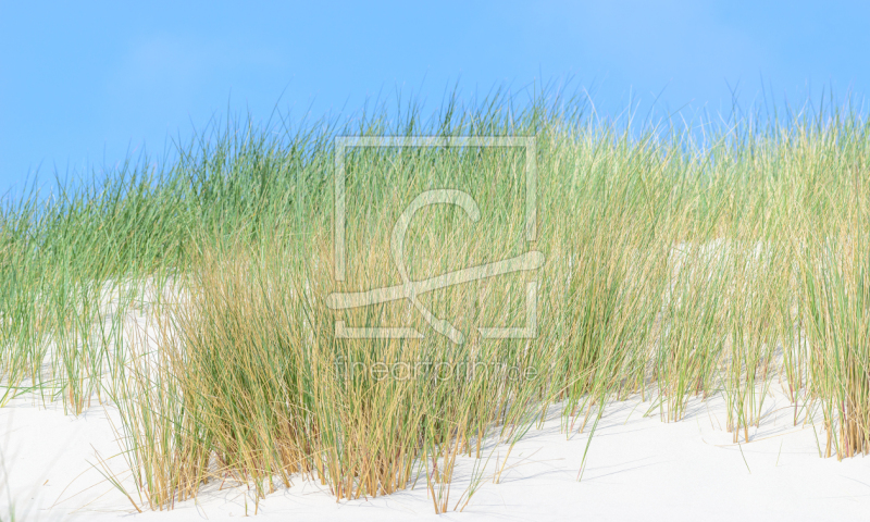 frei wählbarer Bildausschnitt für Ihr Bild auf Fensterfolie