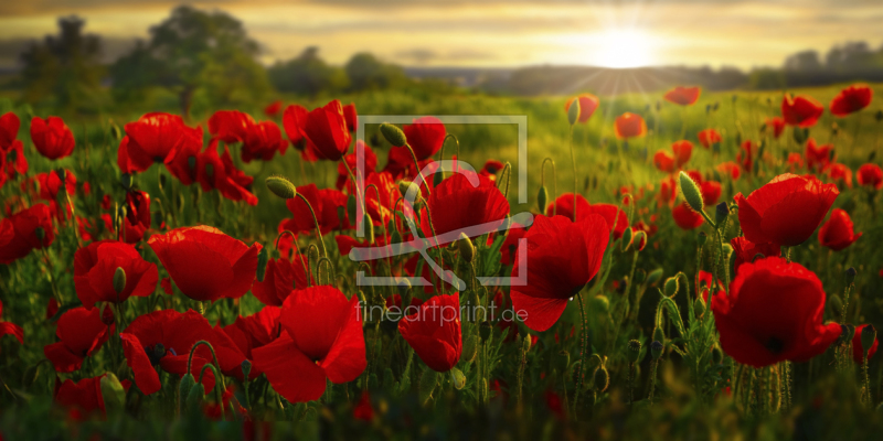 frei wählbarer Bildausschnitt für Ihr Bild auf Fensterfolie