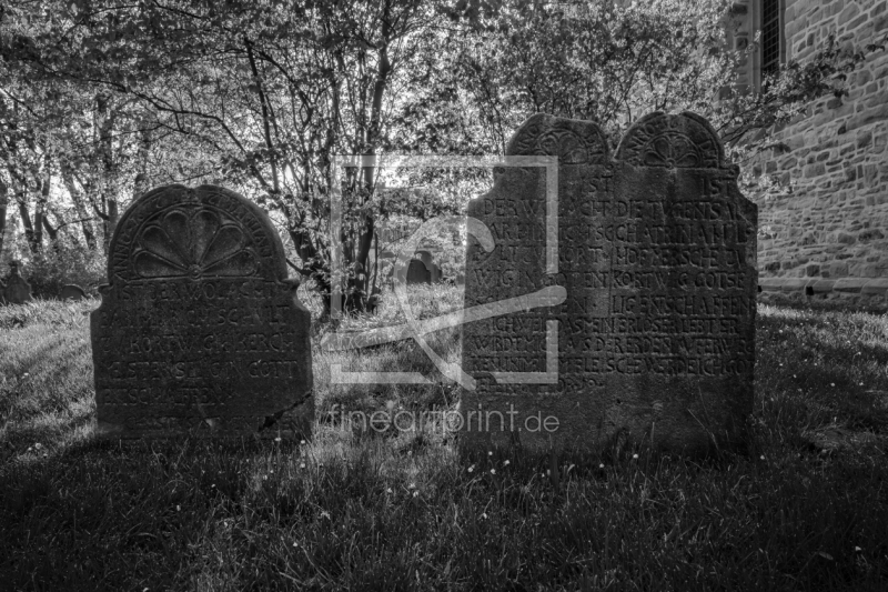 frei wählbarer Bildausschnitt für Ihr Bild auf Fensterfolie