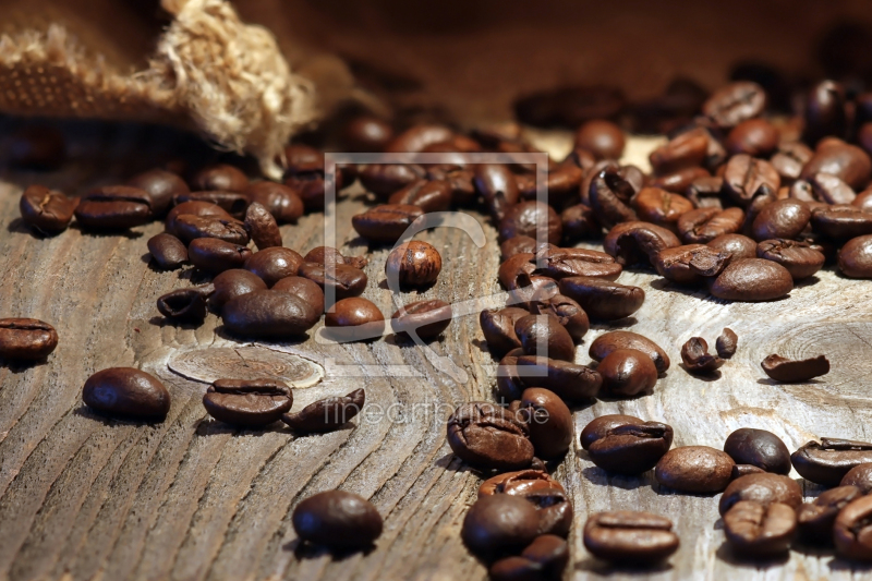 frei wählbarer Bildausschnitt für Ihr Bild auf Fensterfolie