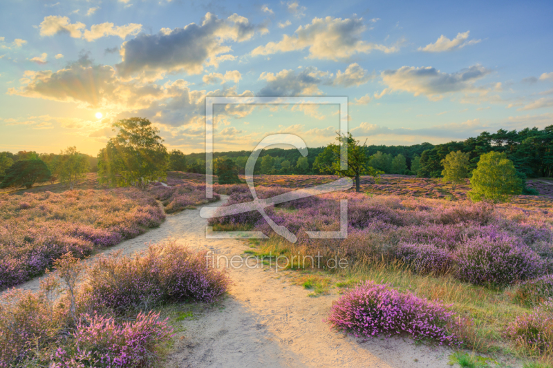 frei wählbarer Bildausschnitt für Ihr Bild auf Fensterfolie