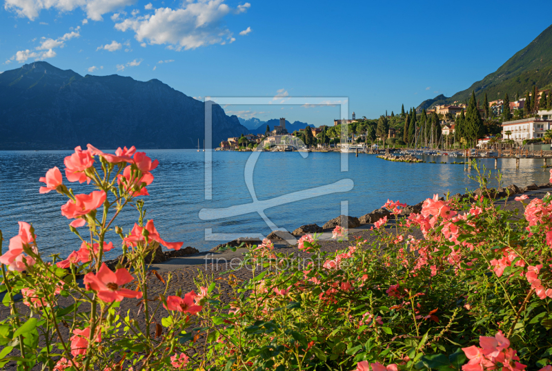 frei wählbarer Bildausschnitt für Ihr Bild auf Fensterfolie