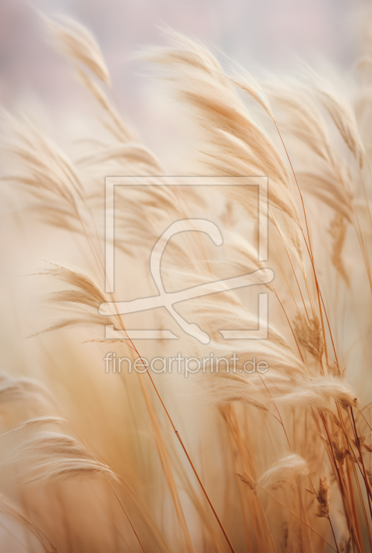 frei wählbarer Bildausschnitt für Ihr Bild auf Fensterfolie