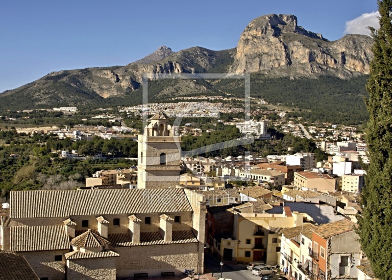 frei wählbarer Bildausschnitt für Ihr Bild auf Fensterfolie