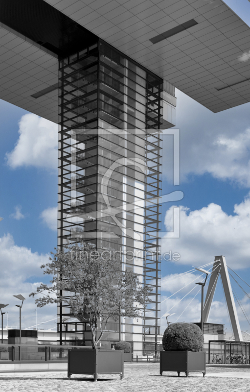 frei wählbarer Bildausschnitt für Ihr Bild auf Fensterfolie