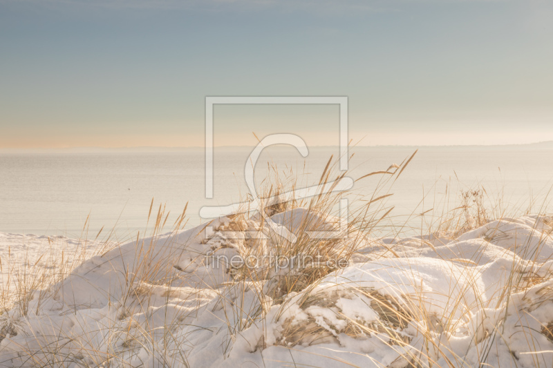 frei wählbarer Bildausschnitt für Ihr Bild auf Fensterfolie