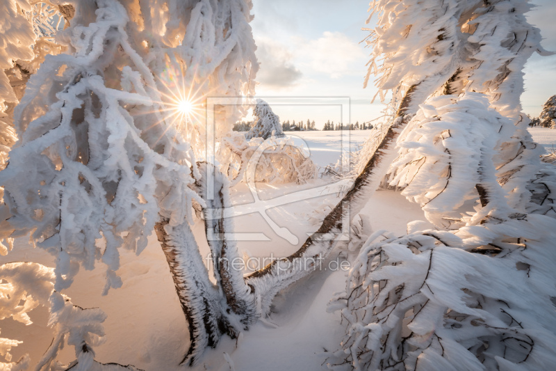 frei wählbarer Bildausschnitt für Ihr Bild auf Fensterfolie