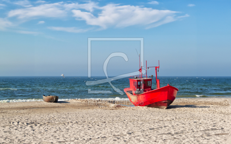 frei wählbarer Bildausschnitt für Ihr Bild auf Fensterfolie