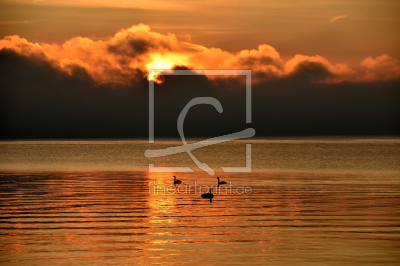 frei wählbarer Bildausschnitt für Ihr Bild auf Fensterfolie