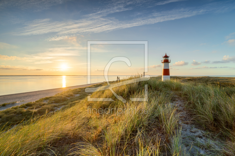 frei wählbarer Bildausschnitt für Ihr Bild auf Fensterfolie