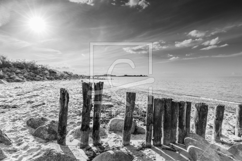 frei wählbarer Bildausschnitt für Ihr Bild auf Fensterfolie
