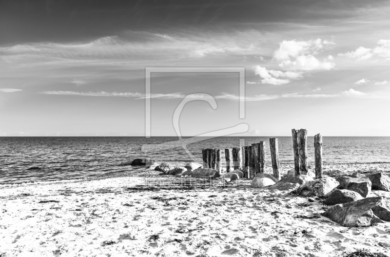 frei wählbarer Bildausschnitt für Ihr Bild auf Fensterfolie