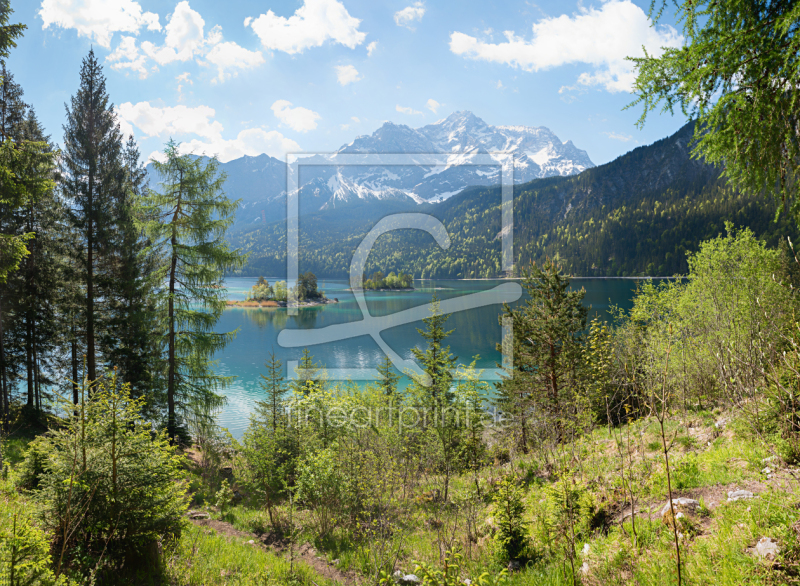 frei wählbarer Bildausschnitt für Ihr Bild auf Fensterfolie