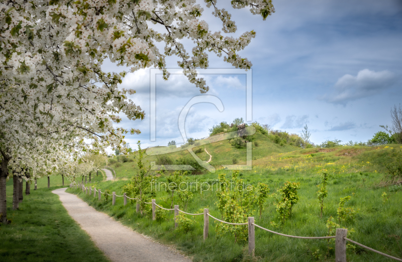 frei wählbarer Bildausschnitt für Ihr Bild auf Fensterfolie