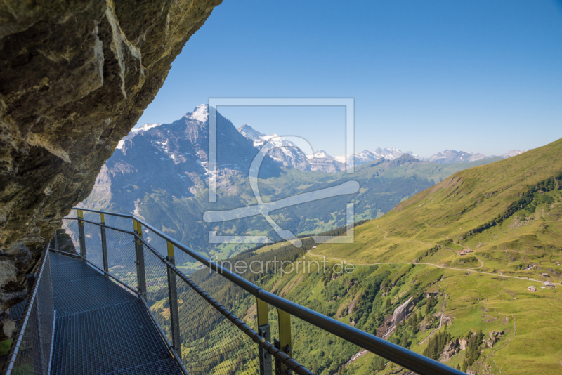 frei wählbarer Bildausschnitt für Ihr Bild auf Fensterfolie