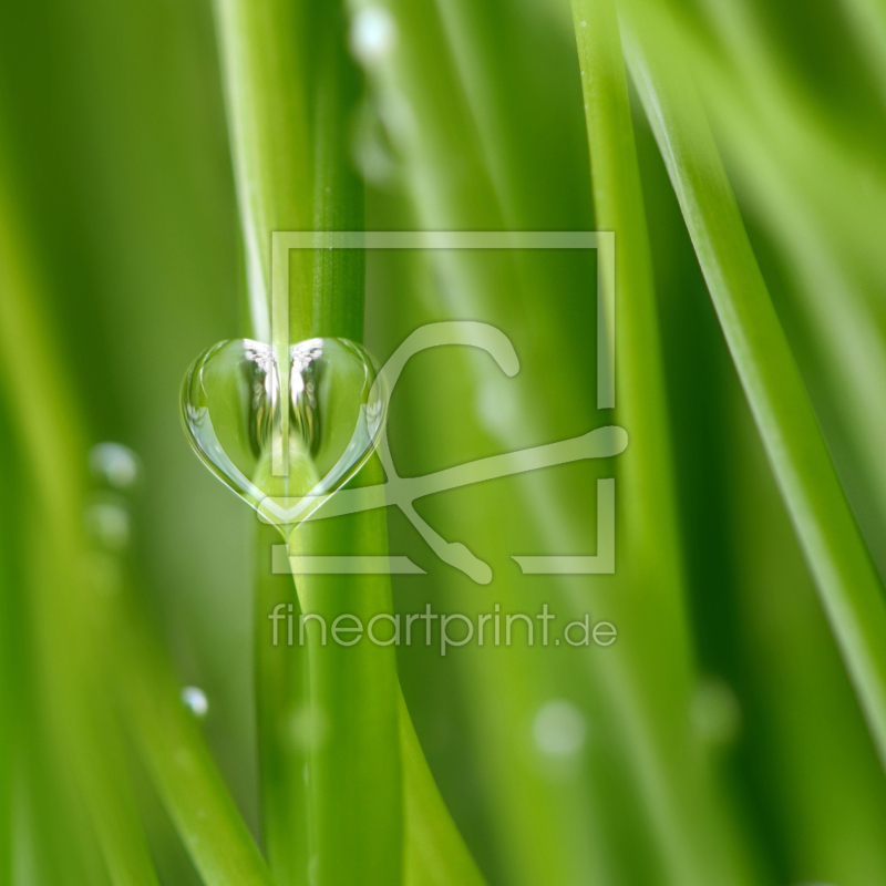 frei wählbarer Bildausschnitt für Ihr Bild auf Fensterfolie