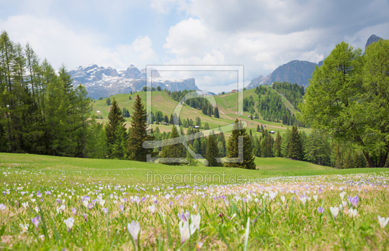 frei wählbarer Bildausschnitt für Ihr Bild auf Fensterfolie