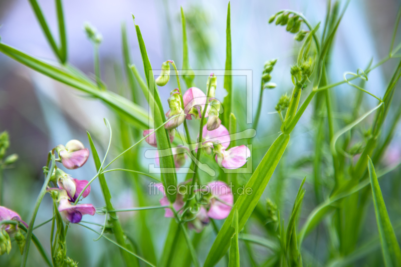 frei wählbarer Bildausschnitt für Ihr Bild auf Fensterfolie