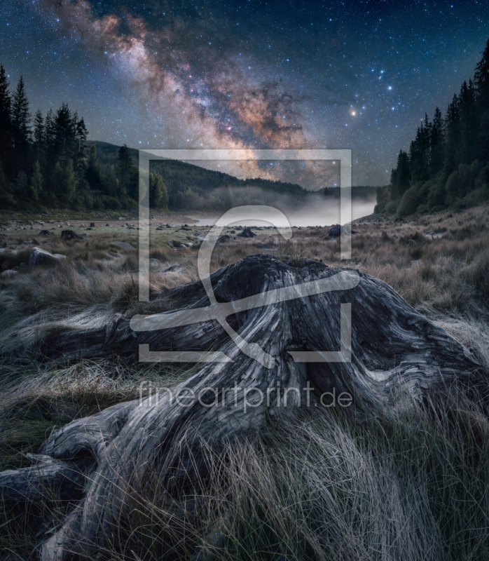 frei wählbarer Bildausschnitt für Ihr Bild auf Fensterfolie