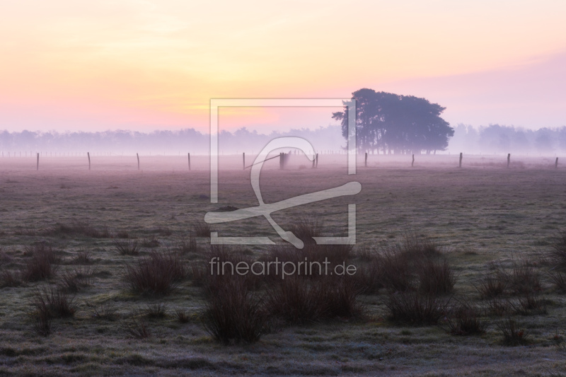 frei wählbarer Bildausschnitt für Ihr Bild auf Fensterfolie