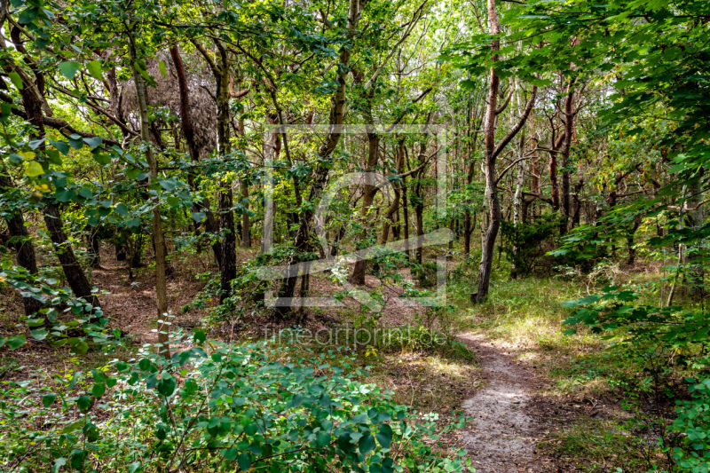 frei wählbarer Bildausschnitt für Ihr Bild auf Fensterfolie