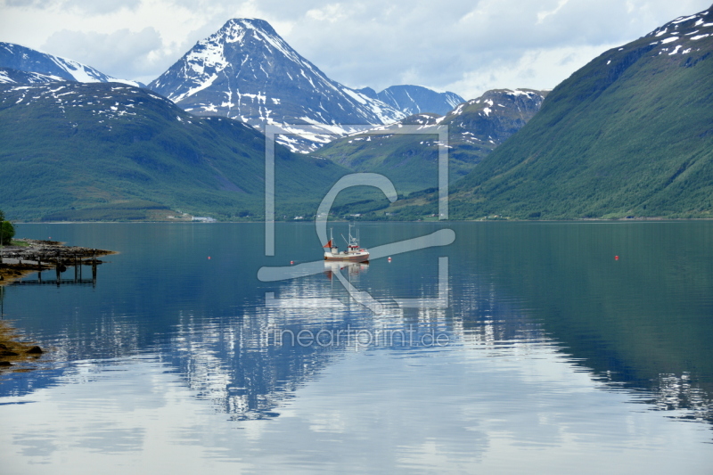 frei wählbarer Bildausschnitt für Ihr Bild auf Fensterfolie