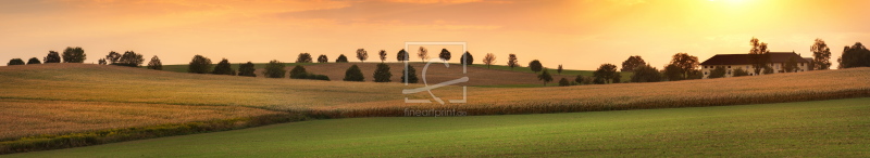 frei wählbarer Bildausschnitt für Ihr Bild auf Fensterfolie