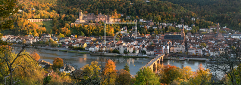 frei wählbarer Bildausschnitt für Ihr Bild auf Fensterfolie