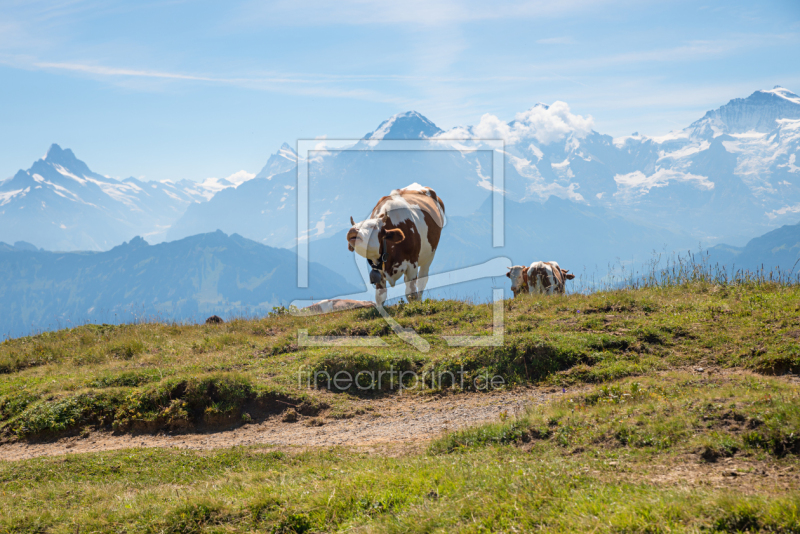 frei wählbarer Bildausschnitt für Ihr Bild auf Fensterfolie