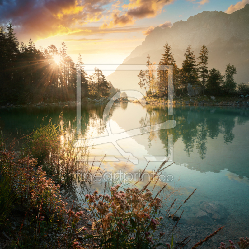 frei wählbarer Bildausschnitt für Ihr Bild auf Fensterfolie