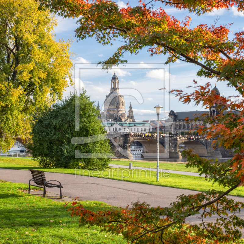 frei wählbarer Bildausschnitt für Ihr Bild auf Fensterfolie