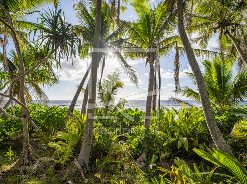 frei wählbarer Bildausschnitt für Ihr Bild auf Fensterfolie