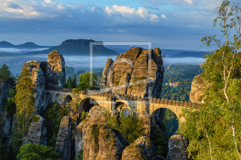 frei wählbarer Bildausschnitt für Ihr Bild auf Fensterfolie