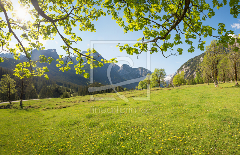 frei wählbarer Bildausschnitt für Ihr Bild auf Fensterfolie