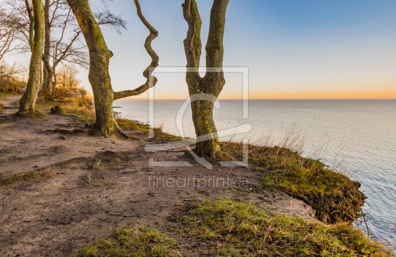 frei wählbarer Bildausschnitt für Ihr Bild auf Fensterfolie