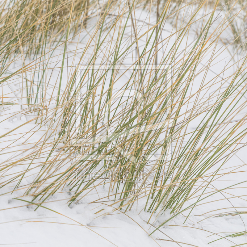 frei wählbarer Bildausschnitt für Ihr Bild auf Fensterfolie