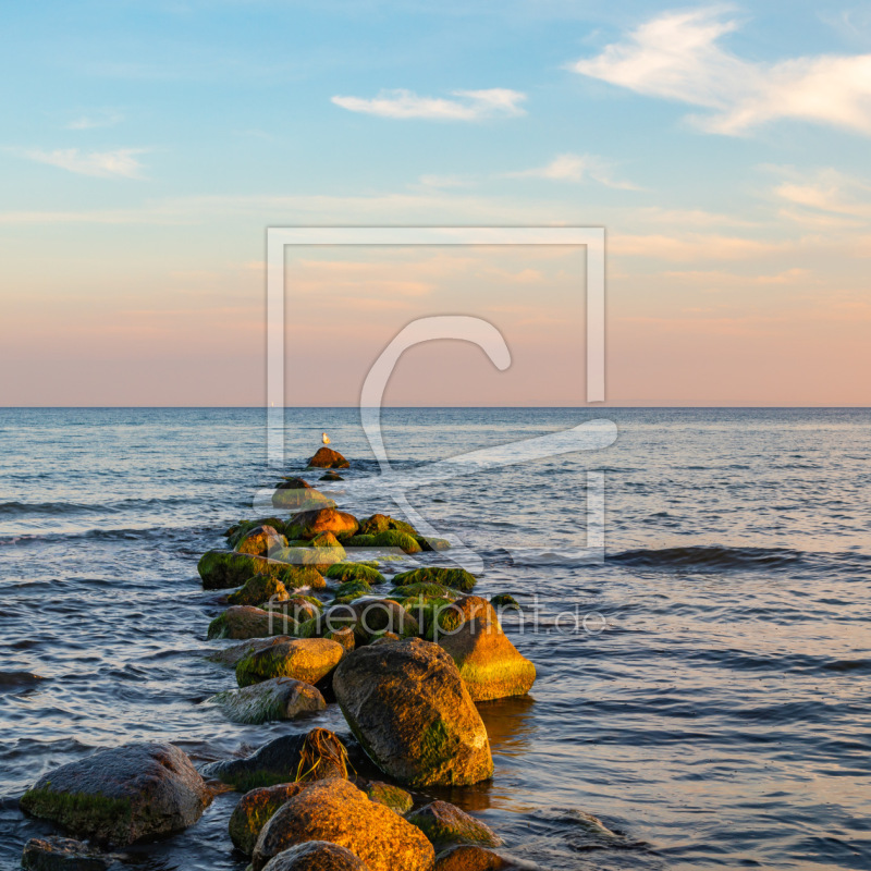 frei wählbarer Bildausschnitt für Ihr Bild auf Fensterfolie