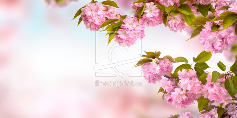 frei wählbarer Bildausschnitt für Ihr Bild auf Fensterfolie