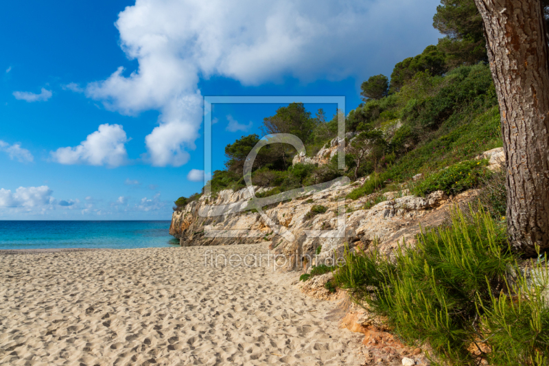 frei wählbarer Bildausschnitt für Ihr Bild auf Fensterfolie