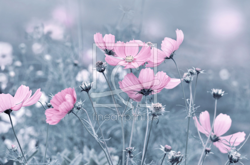 frei wählbarer Bildausschnitt für Ihr Bild auf Fensterfolie