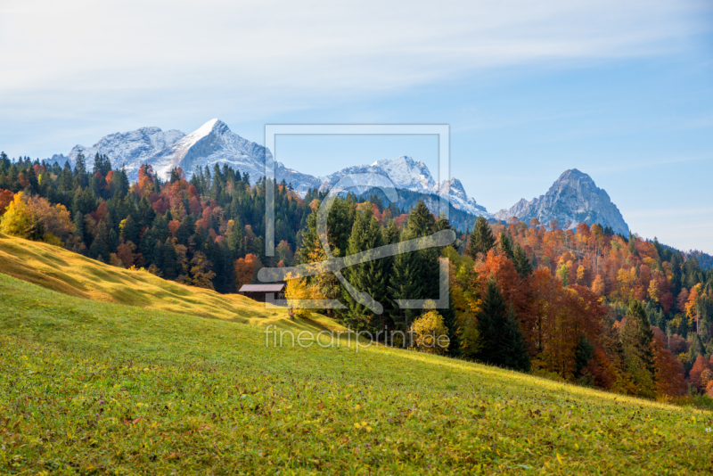 frei wählbarer Bildausschnitt für Ihr Bild auf Fensterfolie