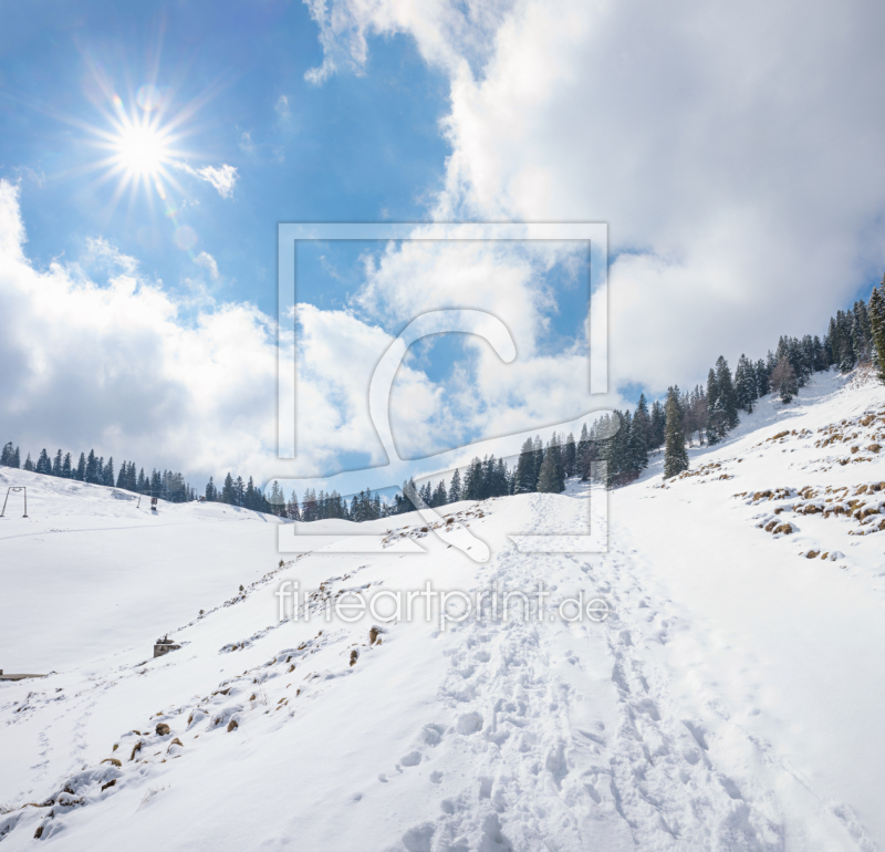 frei wählbarer Bildausschnitt für Ihr Bild auf Fensterfolie