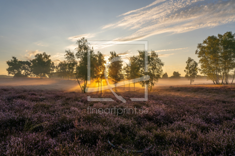 frei wählbarer Bildausschnitt für Ihr Bild auf Fensterfolie
