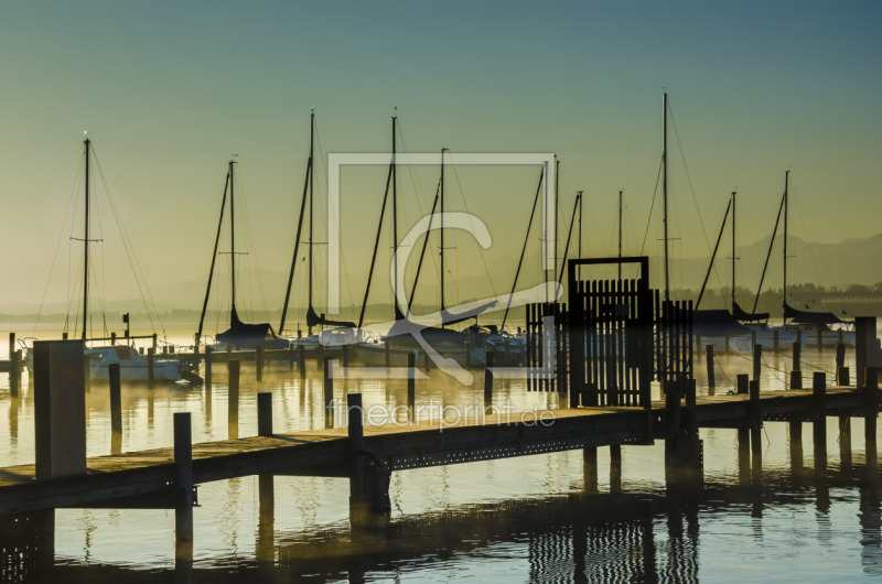frei wählbarer Bildausschnitt für Ihr Bild auf Fensterfolie