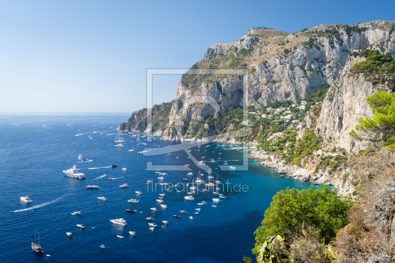 frei wählbarer Bildausschnitt für Ihr Bild auf Fensterfolie