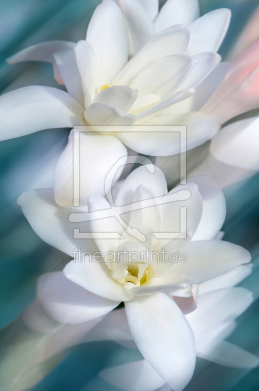 frei wählbarer Bildausschnitt für Ihr Bild auf Fensterfolie