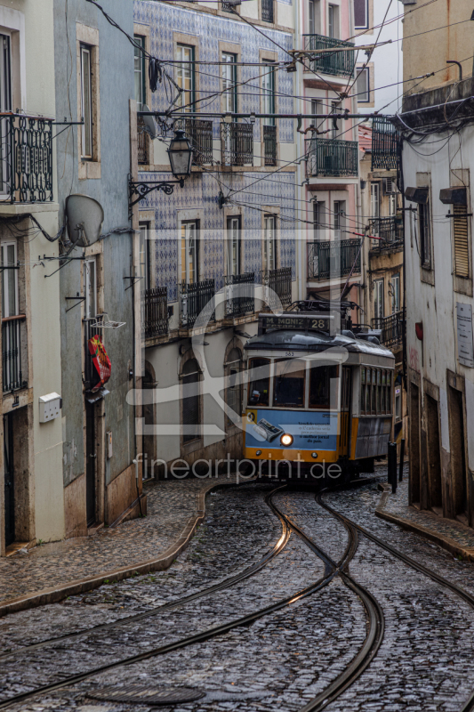 frei wählbarer Bildausschnitt für Ihr Bild auf Fensterfolie