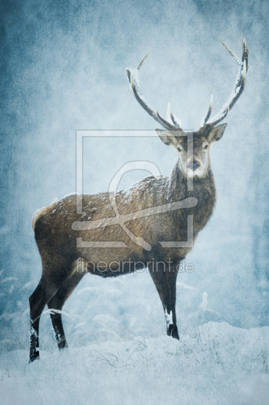 frei wählbarer Bildausschnitt für Ihr Bild auf Fensterfolie