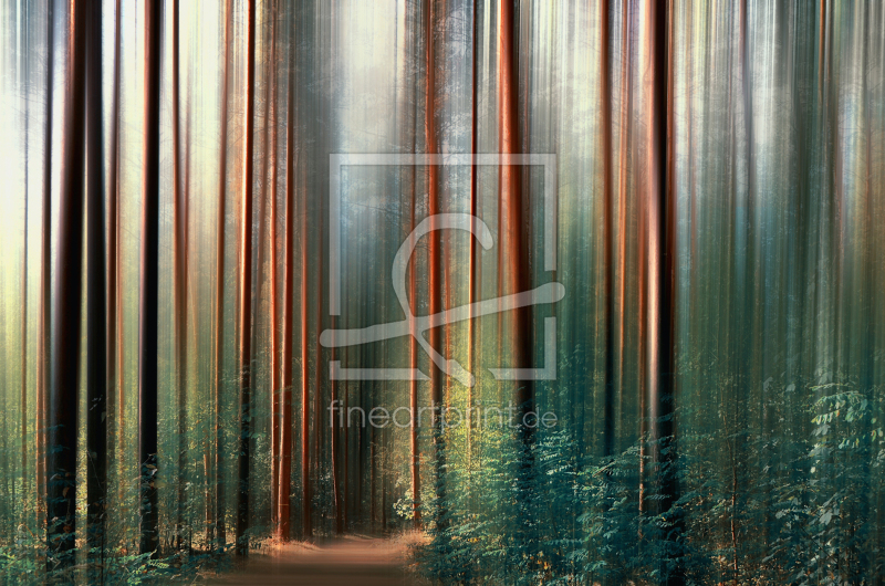 frei wählbarer Bildausschnitt für Ihr Bild auf Fensterfolie